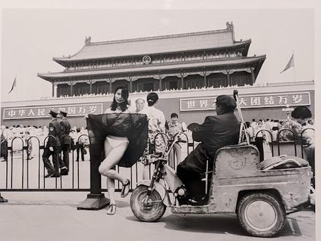 Expo / Ausstelung  Ai Wei Wei — Albertina Modern Wien — 20 Bilder / 20 photos