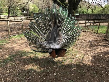 Que Macron arrête de draguer tout le monde Que Macron arrête de draguer tout le monde