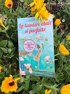 La lumière était si parfaite de Carène Ponte