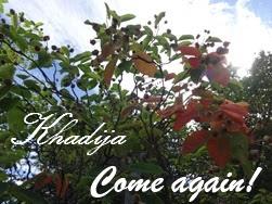 Croissants Bicolores / BICOLOR CROISSANTS / CROISSANTS DOS COLORES / كرواسان ثنائي اللون Croissants Bicolores / BICOLOR CROISSANTS / CROISSANTS DOS COLORES / كرواسان ثنائي اللون