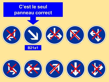 Divers - Images insolites - 3