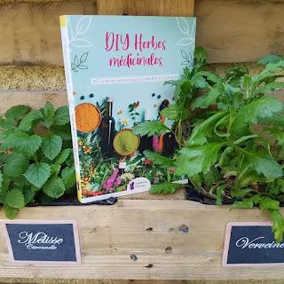 DIY Herbes médicinales