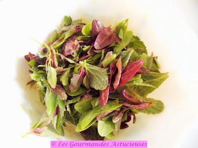 Salade de pousses de plantes sauvages (et autres) et ses croûtons sans gras (Vegan)