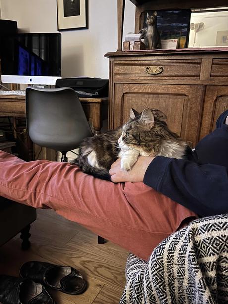 Rien à foutre, Le chêne, King et Seize printemps et En Thérapie Rien à foutre, Le chêne, King et Seize printemps et En Thérapie