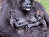 Encore mieux détachement être désintéressé