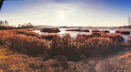 France , Patrimoines et Territoires d’exception – 5 Mars au 3 Juillet 2022. Au jardin du Luxembourg.