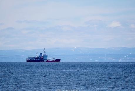 Le Martha L Black au large de Pointe-Paradis…