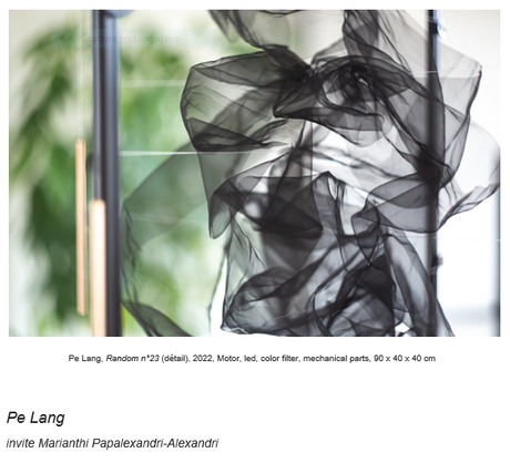 Galerie Denise René  » Pe Lang – Marianthi Papalexandri- Alexandri  » à partir du 19 Mai jusqu’au 9 Juillet 2022.