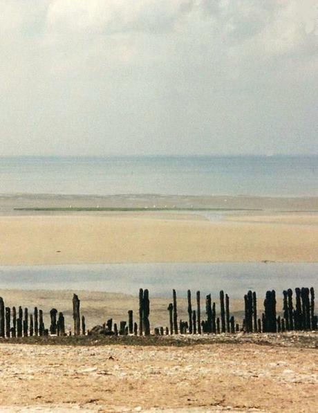 Printemps des poètes