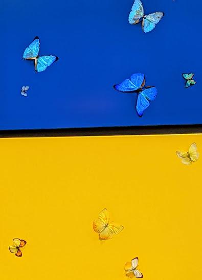 Pavillon ukrainien à la Biennale de Venise 2022 — 12 photos