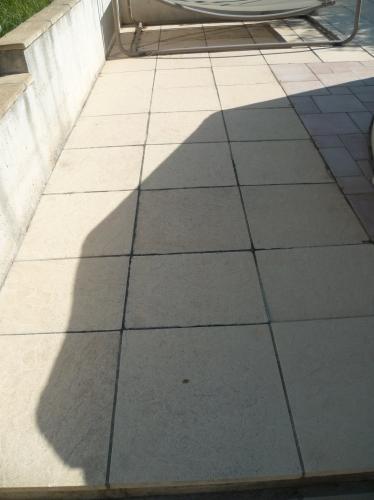 JOUR APRES JOUR occupations,travaux,jardin,jardinage,plantes,arbustes,nettoyage,outils