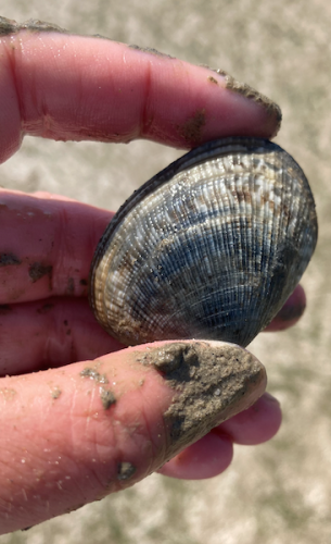 Ouverture de la saison