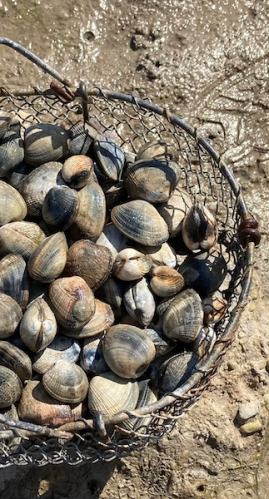 Ouverture de la saison