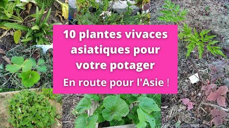 Invitez l'Asie dans votre jardin grâce à 10 plantes vivaces comestibles asiatiques (vidéo)
