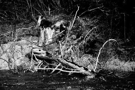 Période… Période…