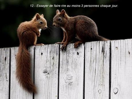 Divers - 40 conseils de la Nature - 1ère partie