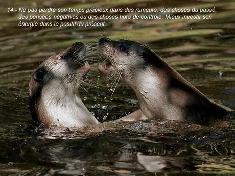 Divers - 40 conseils de la Nature - 1ère partie