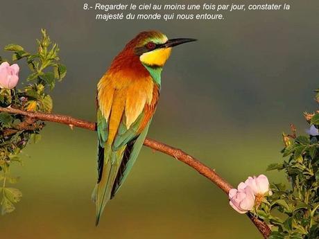 Divers - 40 conseils de la Nature - 1ère partie