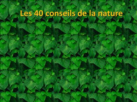 Divers - 40 conseils de la Nature - 1ère partie