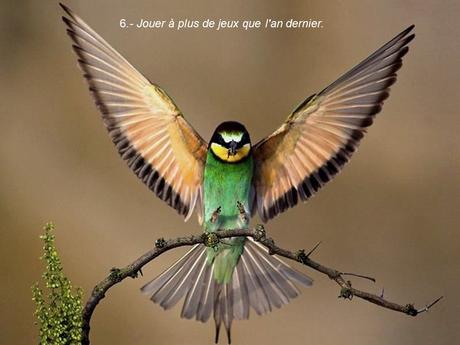 Divers - 40 conseils de la Nature - 1ère partie