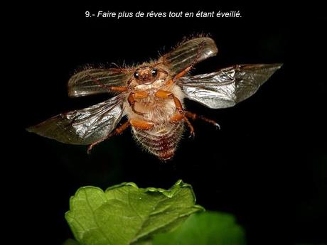 Divers - 40 conseils de la Nature - 1ère partie