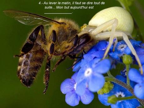 Divers - 40 conseils de la Nature - 1ère partie