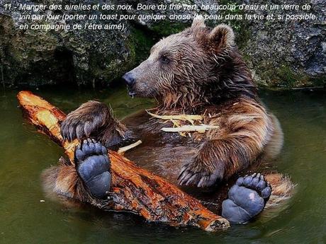 Divers - 40 conseils de la Nature - 1ère partie