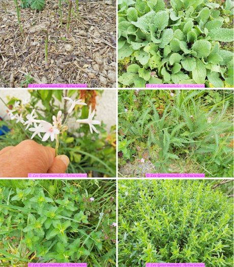 Polenta farcie aux champignons aromatisés (Vegan) Polenta farcie aux champignons aromatisés (Vegan)