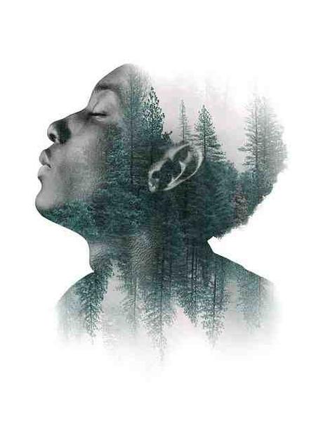 Comment améliorer la netteté d'une photo avec Photoshop ?