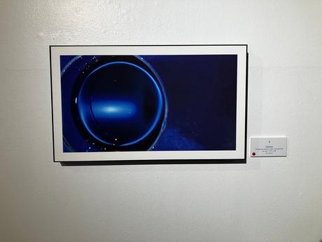 Galerie LEE  – exposition Monia K  » DIVIN » jusqu’au 28 Mai 2022.