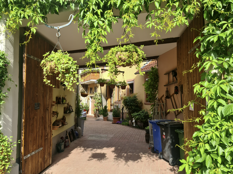 L'Allemagne de mon enfance, revisitée