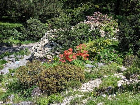 Explosion florale au jardin botanique de Munich — 24 photos / 24 Bilder — Blumenparadies im Botanischen Garten  München