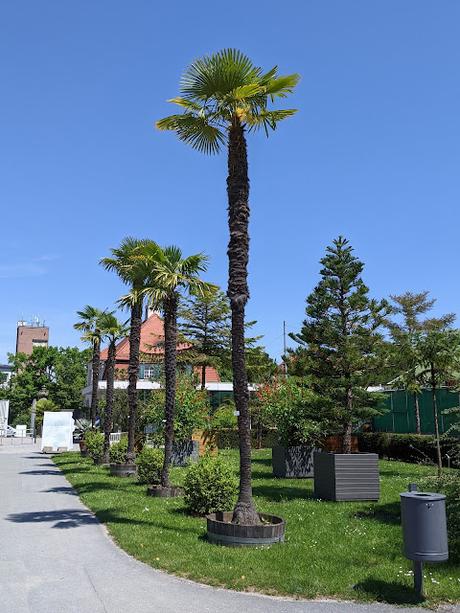 Explosion florale au jardin botanique de Munich — 24 photos / 24 Bilder — Blumenparadies im Botanischen Garten  München