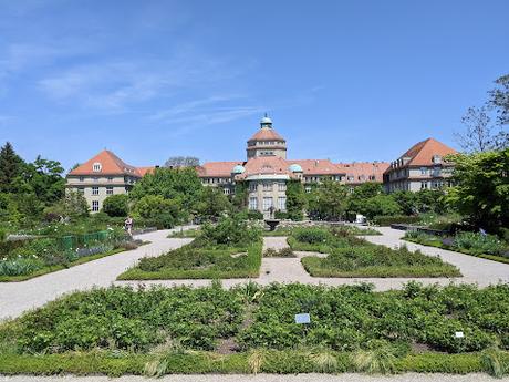 Explosion florale au jardin botanique de Munich — 24 photos / 24 Bilder — Blumenparadies im Botanischen Garten  München