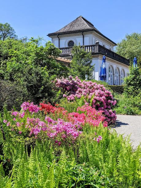 Explosion florale au jardin botanique de Munich — 24 photos / 24 Bilder — Blumenparadies im Botanischen Garten  München