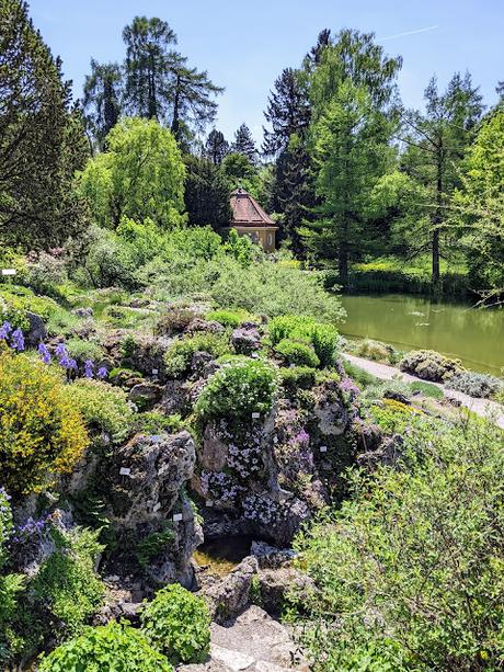 Explosion florale au jardin botanique de Munich — 24 photos / 24 Bilder — Blumenparadies im Botanischen Garten  München