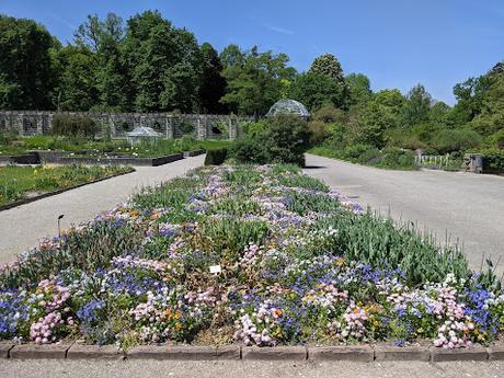 Explosion florale au jardin botanique de Munich — 24 photos / 24 Bilder — Blumenparadies im Botanischen Garten  München