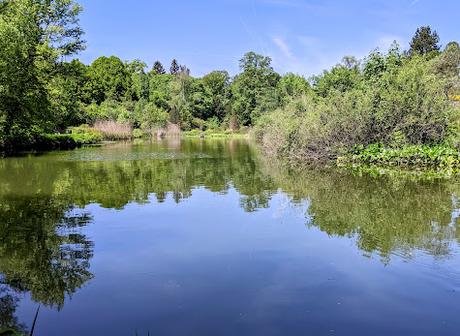Explosion florale au jardin botanique de Munich — 24 photos / 24 Bilder — Blumenparadies im Botanischen Garten  München
