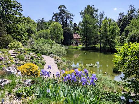 Explosion florale au jardin botanique de Munich — 24 photos / 24 Bilder — Blumenparadies im Botanischen Garten  München