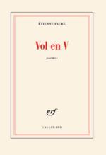 (Note de lecture) Etienne Faure, Vol en V, par Myrto Gondicas