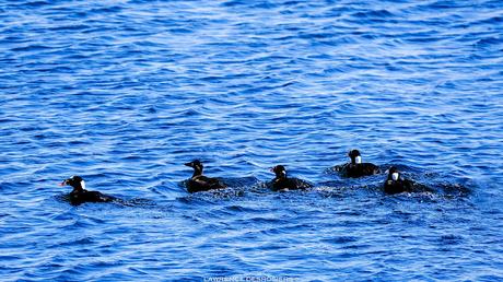 Mots de mai… Mots de mai…