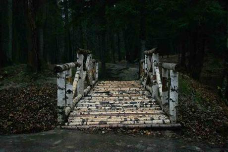 Comment activer Windows 10 définitivement ?