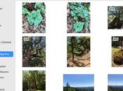Comment transferer photos ipad ordinateur