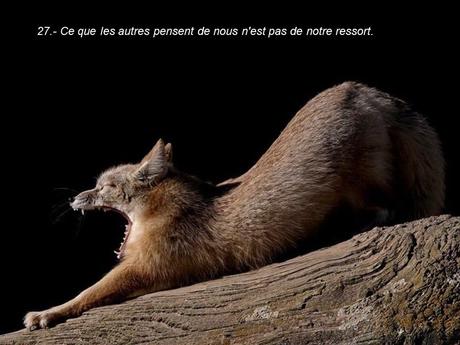 Divers - 40 conseils de la Nature - seconde partie