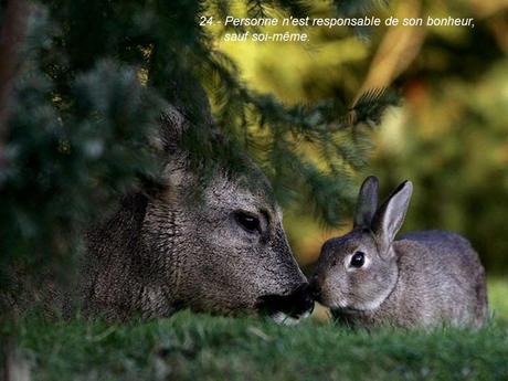 Divers - 40 conseils de la Nature - seconde partie