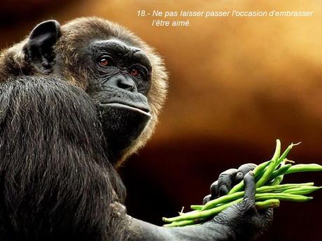 Divers - 40 conseils de la Nature - seconde partie