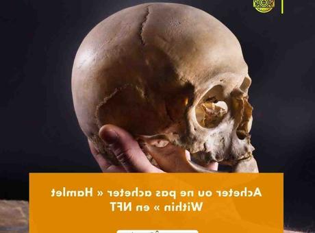 Quel est le meilleur NFT ?