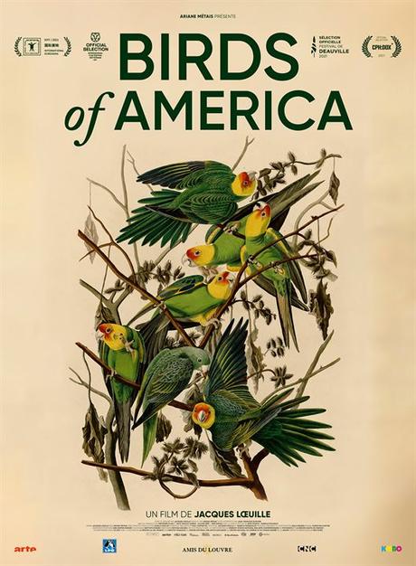 [CRITIQUE] : Birds of America