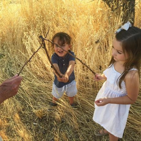 Un Râteau de Jardin est Aussi un Bâton ( & ce que contient certains bâtons de pèlerins) Un Râteau de Jardin est Aussi un Bâton ( & ce que contient certains bâtons de pèlerins)