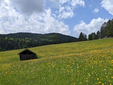 Mittenwald — Am Schmalensee / Autour du Schmalsee — 10 Bilder / 10 photos